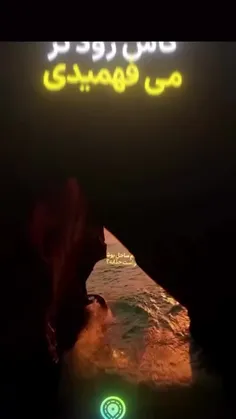 بوشهر رو به فصلش برو😍