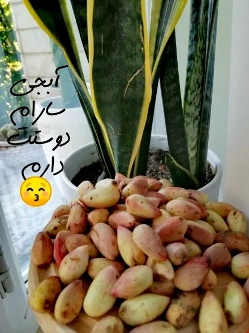 خوشحالم که هستی دوباره @sara.0 0