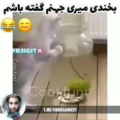 بخندی میری جهنم ، از ما گفتن 😂 | فرکام