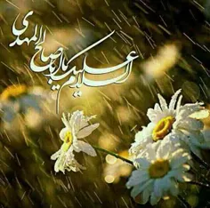 آقا جان به پهلوی شکسته مادرتان هرچه زودتر بیا....