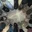 hosnaa_12