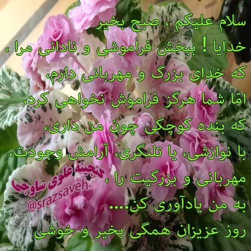 سلام علیکم ، صبح بخیر