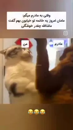 غم و اندوه داره منو له میکنهههه😂o(╥﹏╥)o