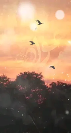 شهادت امام محمد تقی، جواد الائمه به همه ی محبین حضرتش تسل