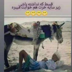 الهی هیچکس زیربار قسط نره 😊✌