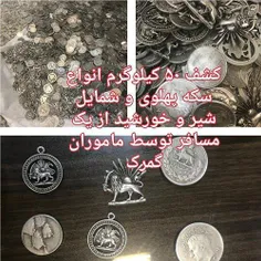 🔺 ۵۰ کیلو سکه پهلوی در مرز بارزگان توقیف شد