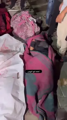 ۳۰ شهید و دهها زخمی در حمله به اردوگاه النصیرات