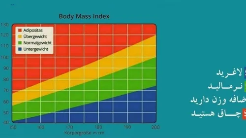 چطوری بفهمیم لاغریم، نرمالیم یا چاق ؟