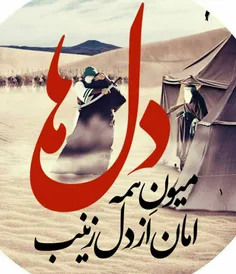 امام حسین علیه السلام خطاب به حضرت زینب سلام الله علیها: