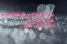 بی ثمر هرساله در فکر بهارانم ولی، 