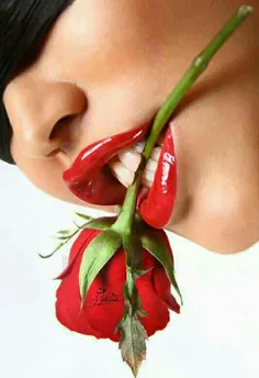 وقتی که عاشق باشی باید گلی که از زندگیی بگیر باید با دهان