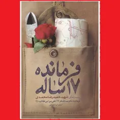 کتاب فرمانده 17 ساله را همین الآن تمام کردم؛ زندگی شهید ح