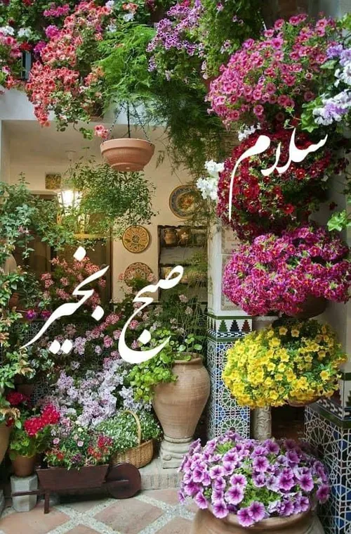 ☀️ به نام خداوند آلاله ها