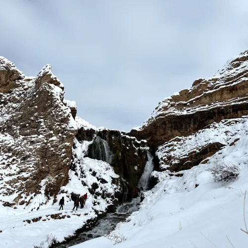 جای همگی خالی