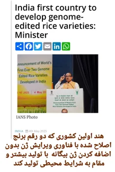 برای اولین بار در جهان هند دو رقم #برنج اصلاح شده با #ویر