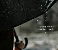 تن هرزه را چاره شاید...