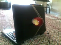 apple