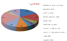 واقعیت آن است که اکثر شبکه های ماهواره ای صرفاً یک سرگرمی