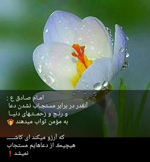 از خدا میخوام اولین سین امسال