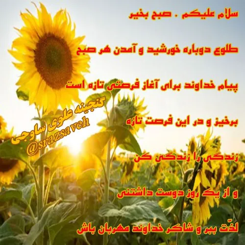 سلام علیکم . صبح بخیر