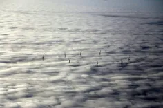 نمایی زیبا از توربین‌های بادی در آلمان