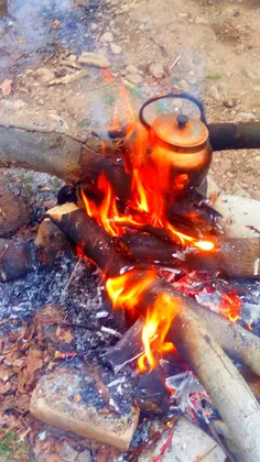 چای زغالی جای دوستان خالی اگه گفتین کجاااس روستای کهمان ب