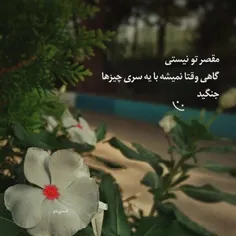 عاشق که باشی هر لبخند معشوق هدفته حتی به قیمت ن.....