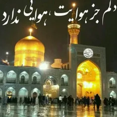 یا امام رضا نصیب کن بیام پا بوست دلم هوای حرمت رو کرده ..