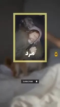 سگها بد نیستند فقط نباید وارد زندگی بشوند. 