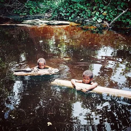 Two children swim in a mangrove swamp beside a site where