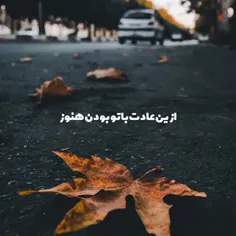 #خاص #زیبا #قشنگ #جذاب #شیک #بینظیر #هنری #BEAUTIFUL_NICE