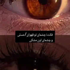 فدای چشات این زندگی بدون تو نداره نشاط🦋🔥