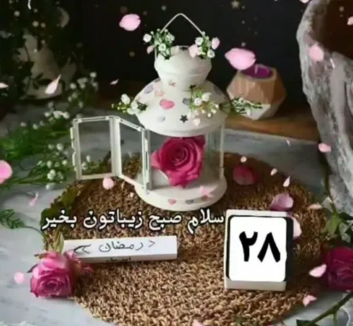 🌷 سلام😍