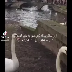 من ماه مهر به دنیا اومدم شما چطور