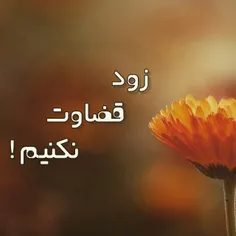 💫 مردی سگش را در خانه می گذارد تا از طفل شیر خوارش مواظبت