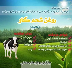 بهترین جایگزین روغن های صنعتی جهت  مصرف روزانه باخواص بسی