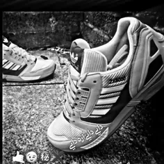 adidas_zx_8000 70970230