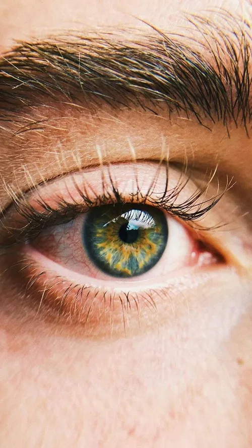 green eyes 🍃 fantasy