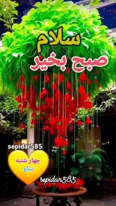 سلام دوستان صبحتون ناااب😍🌹✋🏻