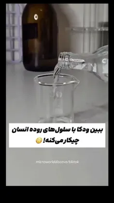 🗯با یه آزمایش اثبات میکنه که ودکا سلولهای روده انسان رو ن