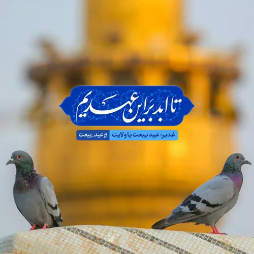 مذهبی sarbaz-rahbar 30009006 - عکس ویسگون