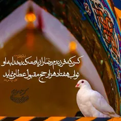 #حضرت_امام_موسی_کاظم_ع می فرمایند: