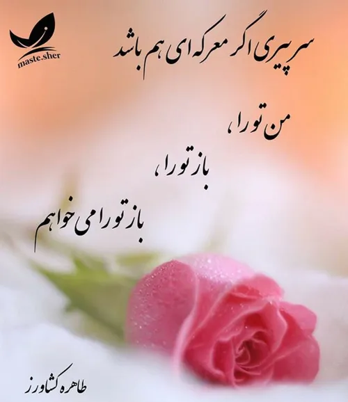 خاص بینظیر