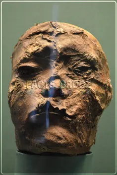 سر مومیایی شده یک جنگجوی پازیریک در دوران هخامنشی به قدمت