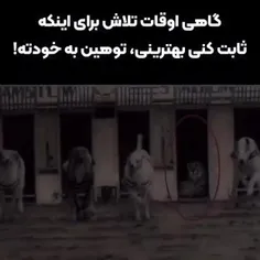 اره دایی