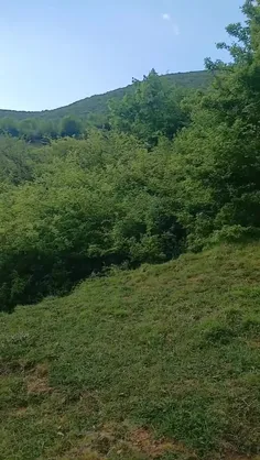 ای کاش غمی در دل ما لانه نداشت 💔😔