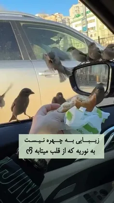 برای زیستن دو قلب لازم است