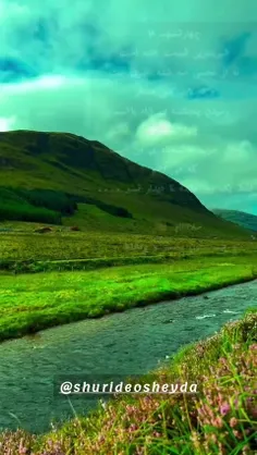 چهارشنبهـــ ها