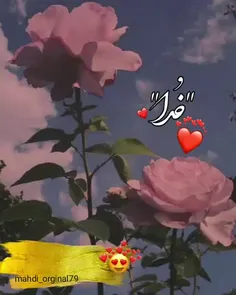 به هیچ قیمتی ولم نمیکنه 💞