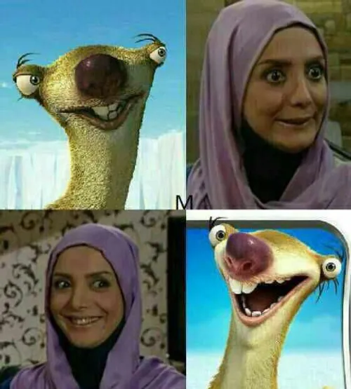 شباهتو